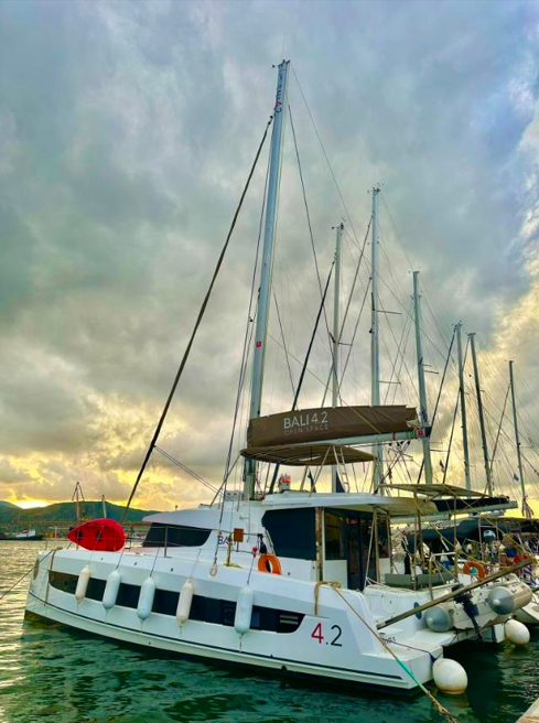 Catamaran Bali 4.2 Silver IX