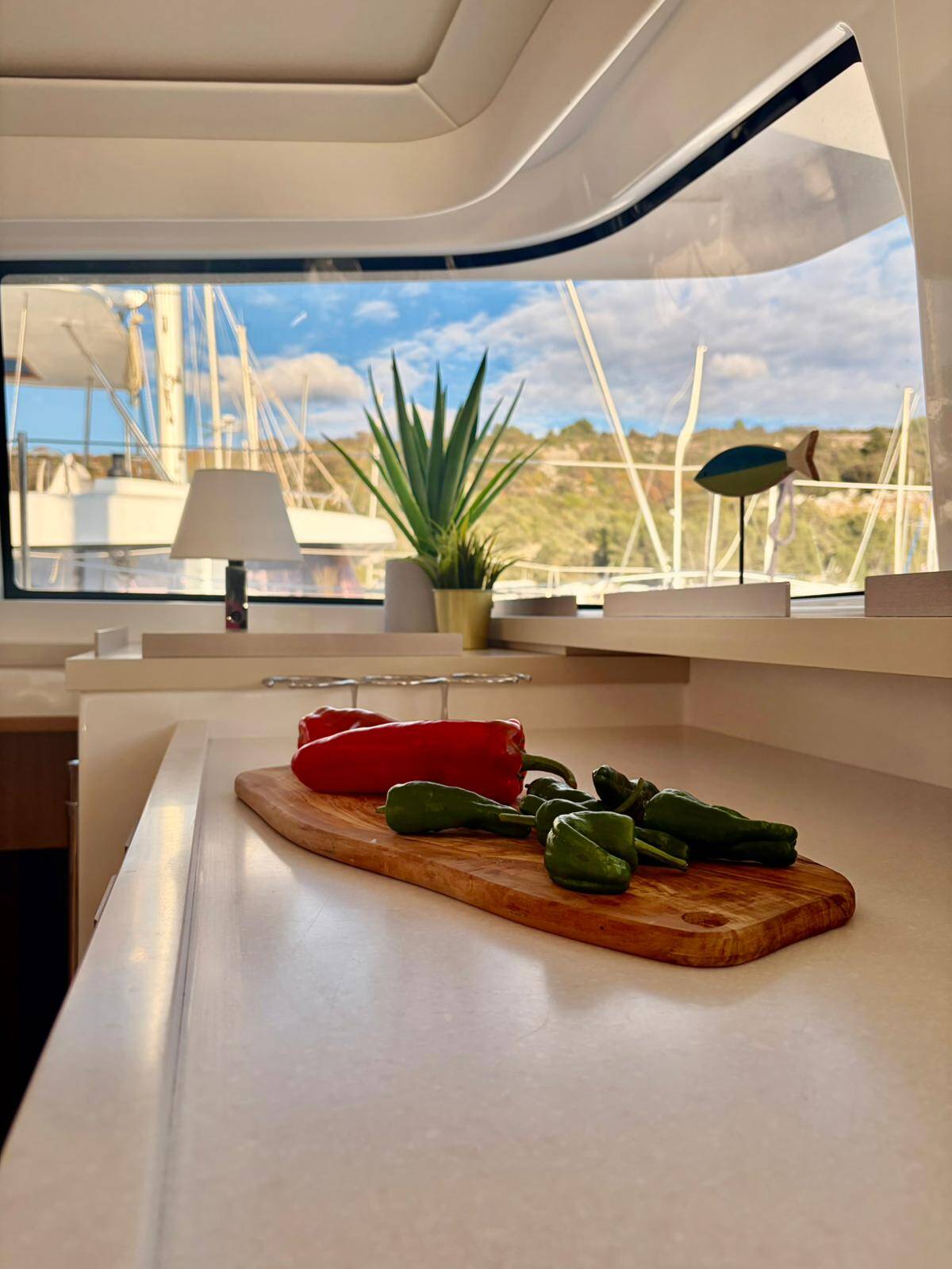 Katamaran Bali 4.6 Friendship