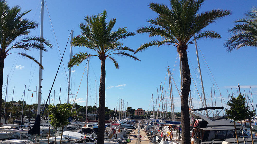 Sailing yacht Bavaria Cruiser 37 Black Pearl
