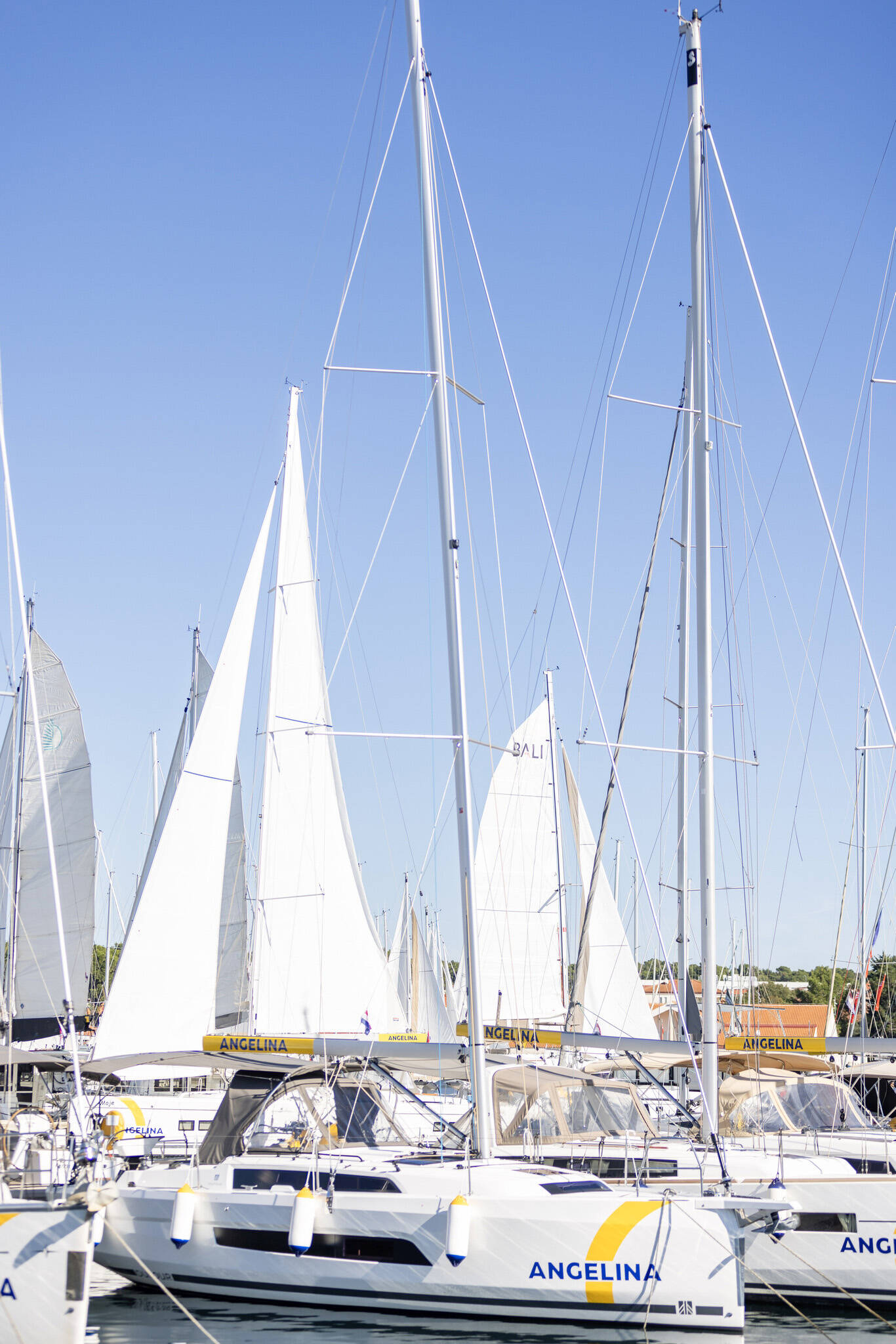 Segelyachten Dufour 37 Nessie