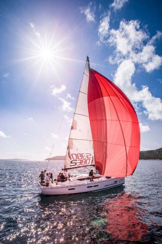 Sailing yacht Salona 380 Navis Celere